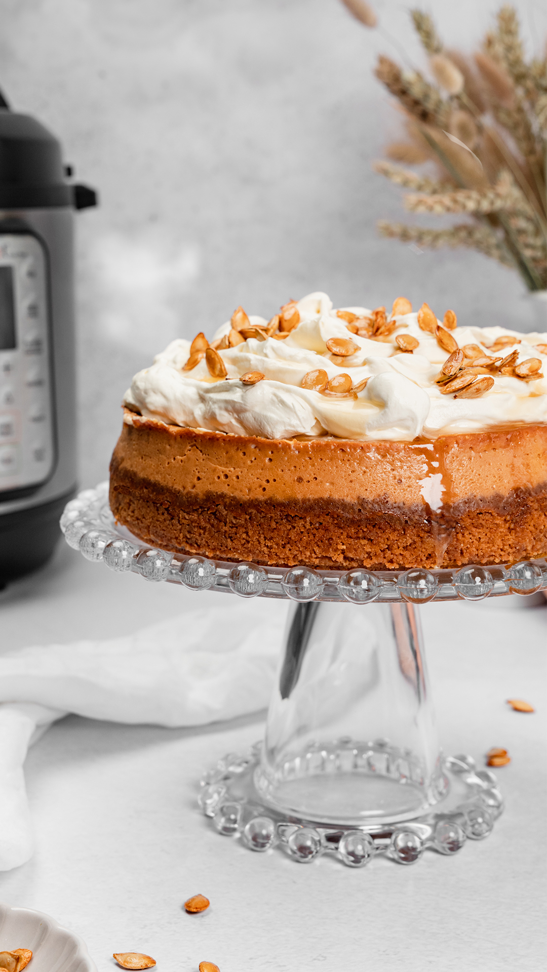 Honey pumpkin cheesecake