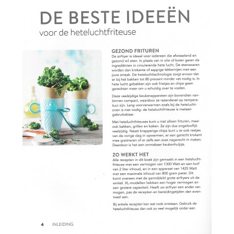Het Airfryer Ideeënboek (Dutch)