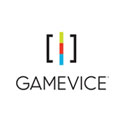 GameVice GameVice