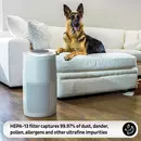 Filter for Instant Air Purifier AP-300
