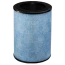 Filter F300 voor Instant Luchtreiniger AP-300