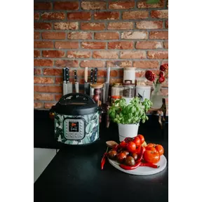 Multicooker Kookboek (Flying Foodie)