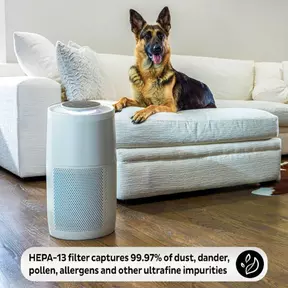 Filter F100 voor Instant Luchtreiniger AP-100