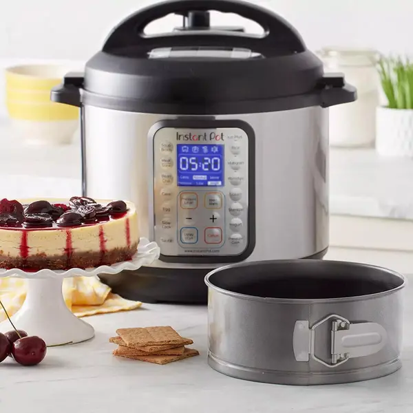 Ziva bakvorm met veer 15 cm voor multicookers (3L), airfryers & oven
